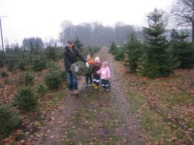 Christmas tree shopping